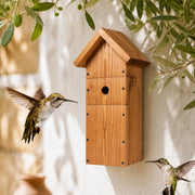 Grand nichoir d’observation en bois