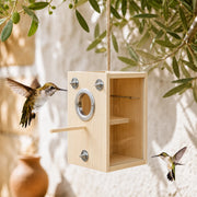 Nichoir observatoire en bois à paroi transparente