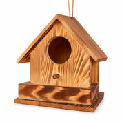 Nichoir observatoire en bois rouge format 17,2 × 17,2 × 17,2 cm — photo 3