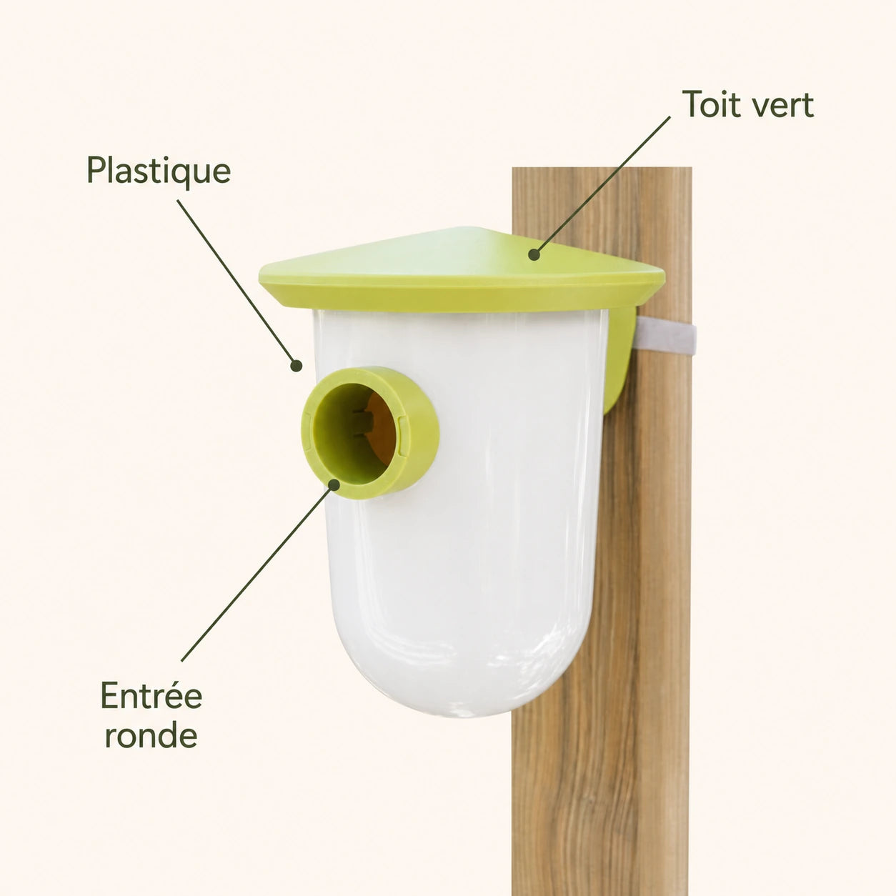 Nichoir vert — photo 4