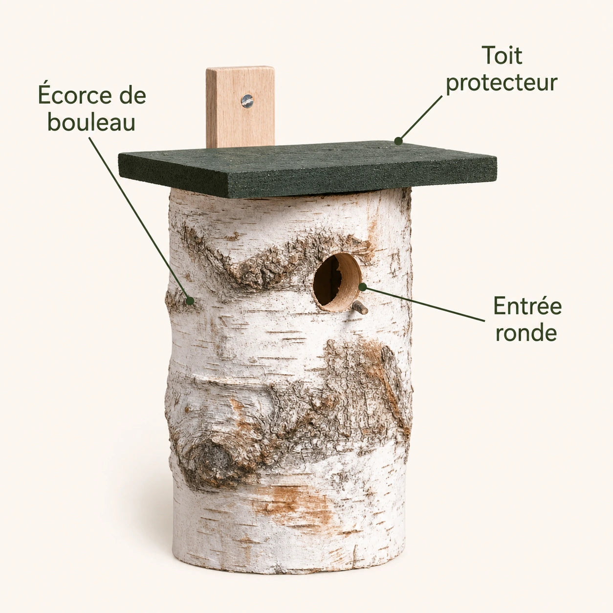 Nichoir en bouleau — photo 4