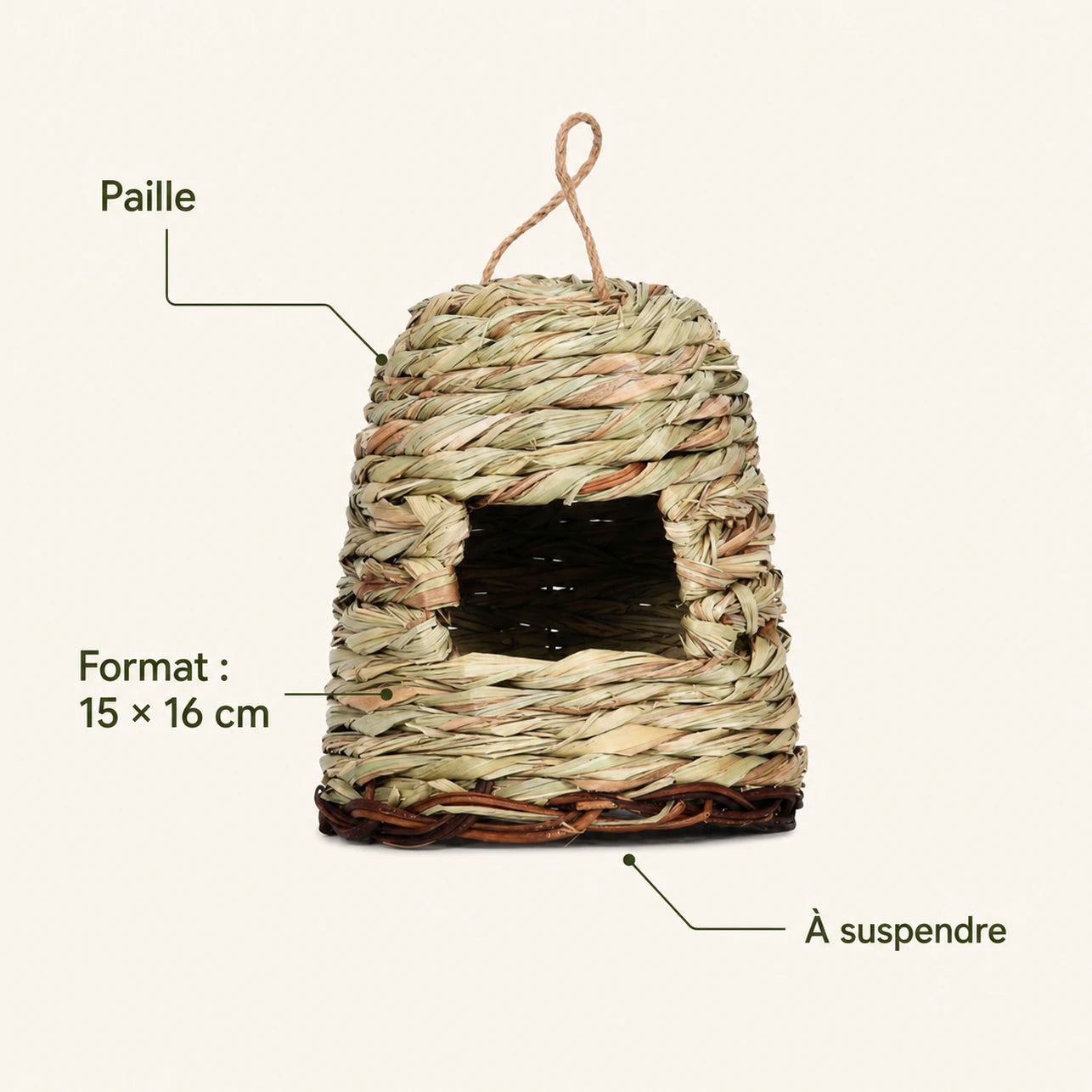 Nichoir observatoire format 15 × 16 cm — photo 4