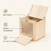 Nichoir transparent — photo 4